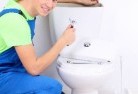 The Spectaclestoilet-replacement-plumbers-11.jpg; ?>